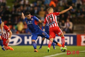 开云官网-赛地聚焦——亚冠关键时刻热度飙升；纽卡斯尔造点机会；底气十足；数据趋势出现新变化(上赛季利雅得新月打入亚冠决赛)